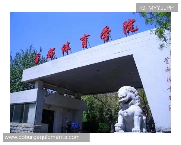 上海排球队实力排名第十展现强劲竞争力与发展潜力 上海排球队实力排名第十展现强劲竞争力与发展潜力