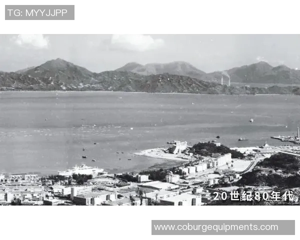 深圳羽毛球队逆袭联合会杯的辉煌历程与奋斗精神展现 深圳羽毛球队逆袭联合会杯的辉煌历程与奋斗精神展现