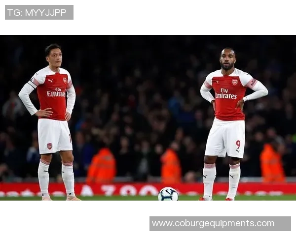 重庆排球队的崛起之路：从默默无闻到联赛强队的奋斗历程