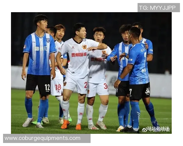 专业解读：武汉乒乓球队的控制打法