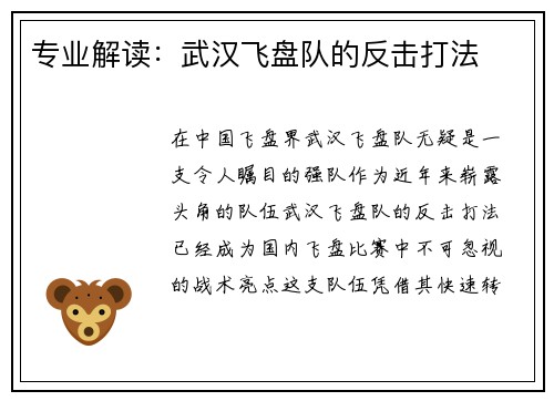 专业解读：武汉飞盘队的反击打法