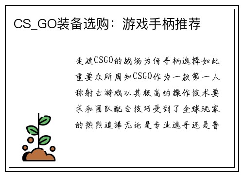 CS_GO装备选购：游戏手柄推荐