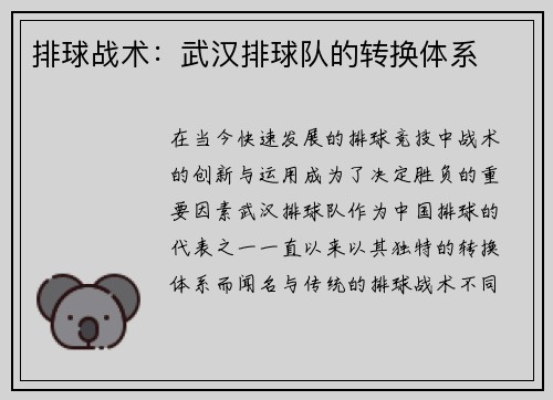 排球战术：武汉排球队的转换体系