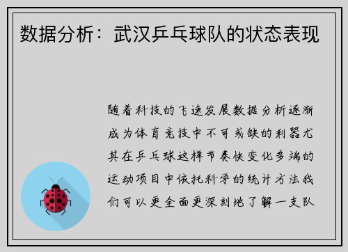 数据分析：武汉乒乓球队的状态表现